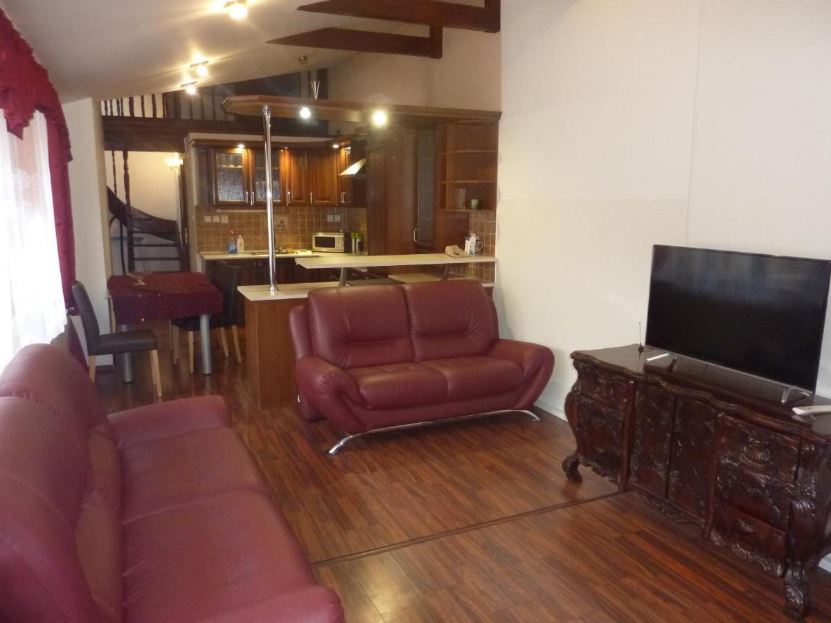 Luxury Large Apartment 21 コシツェ エクステリア 写真